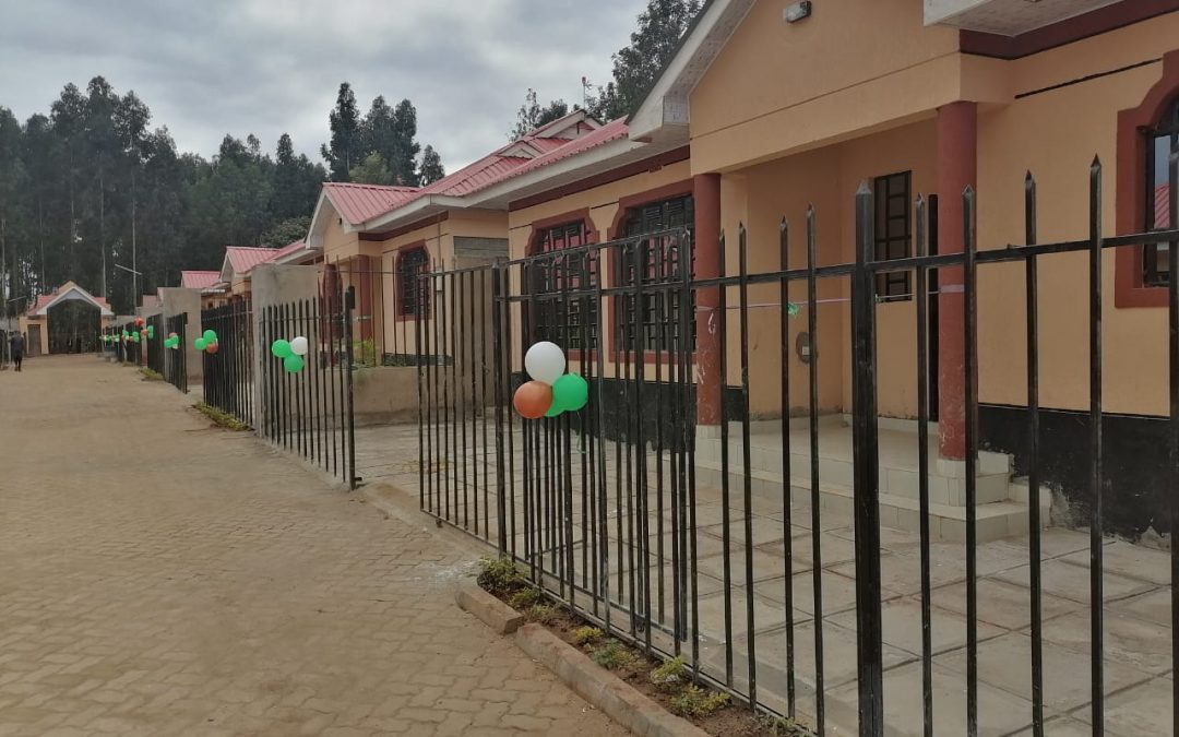 Mizizi Africa Homes projects real estate uptake by young generation
