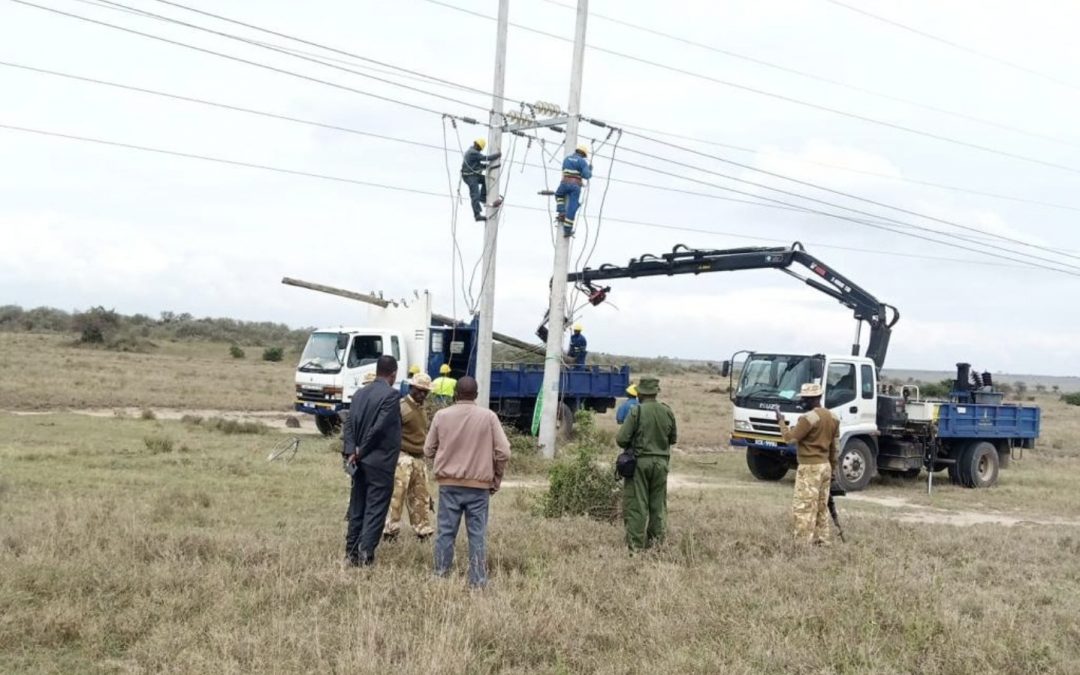 Kenya Power clears electric poles in parks to prevent wild animals electrocution