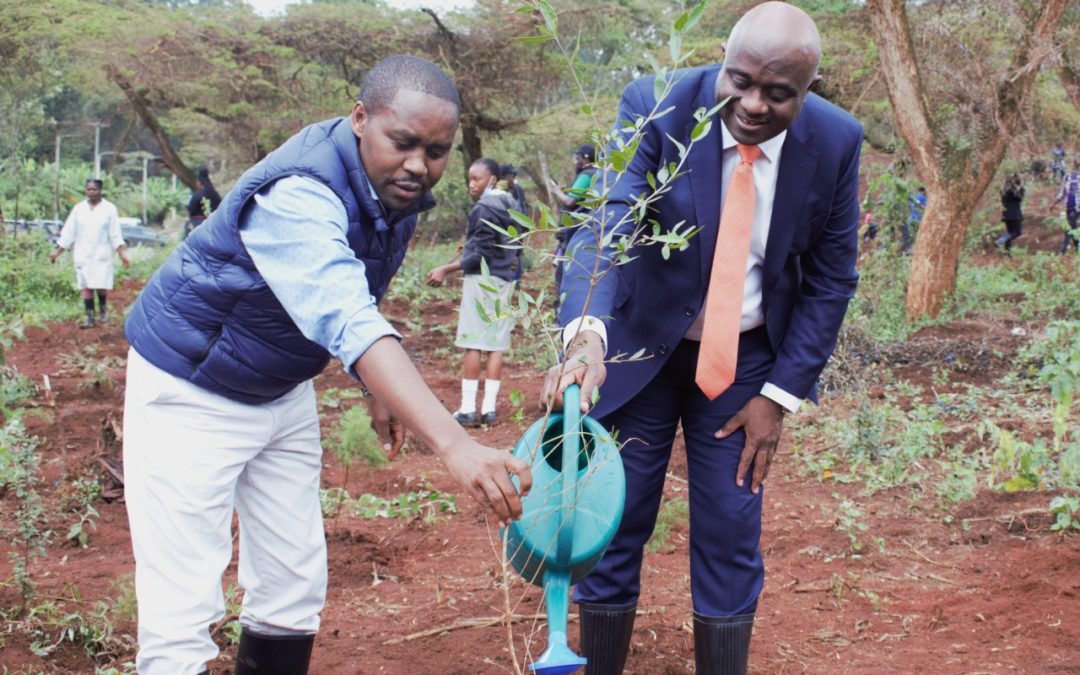 Nairobi University and Acorn Holdings partner to plant trees to increase green cover