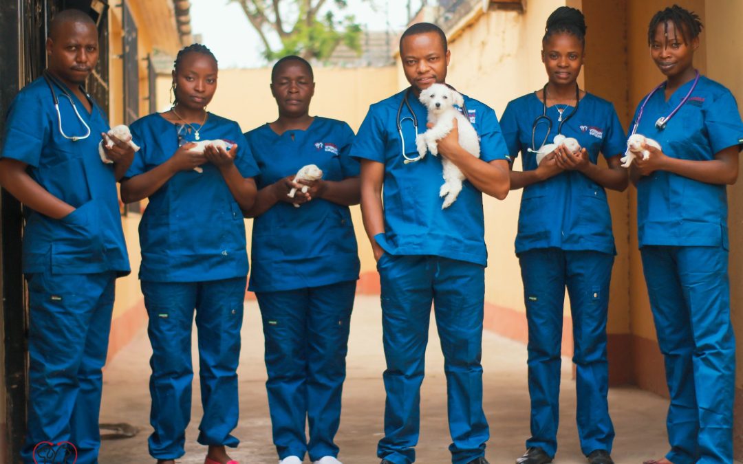 Honoring veterinary doctors as animals battle climate change effects